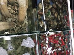 -明记海鲜大排档(巽寮湾店)