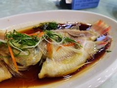 清蒸红宝石鱼-范饭椰林川湘味海鲜·椰子鸡(三亚湾椰梦长廊店)