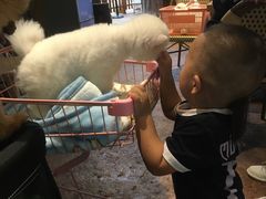 -杭州开元森泊度假乐园