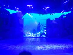 -芜湖新华联大白鲸海洋公园