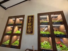 -菌自由丨野生菌火锅特色庭院餐厅(丽江古城店)