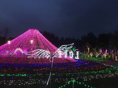 -顺鑫绿色度假村