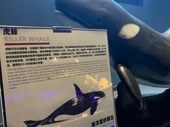 -重庆欢乐海底世界