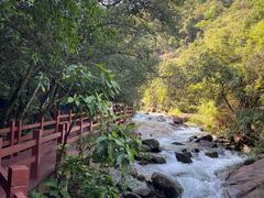 -广州白江湖森林公园