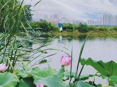 -盘龙城遗址博物院