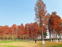 -嘉兴清池酒店温泉