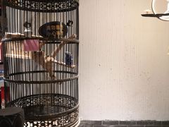 -清真·京华源铜锅涮肉(丰庆店)