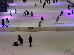 -TheRink大零溜冰场(IFS国金中心店)