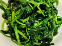 清炒菠菜-肖记公安牛肉鱼杂馆· 省级非物质文化遗产(仁和路店)