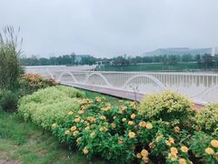 -灞河西岸滨河公园