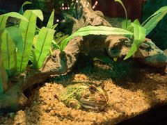 -暹罗海洋世界