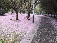 -苏州河梦清园环保主题公园