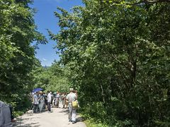 -青峰峡国家森林公园