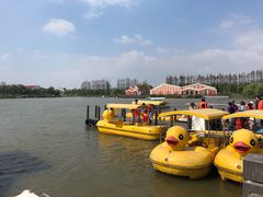 -上海长兴岛郊野公园