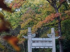 -灵谷景区