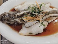 -金龙寨(龙城路店)
