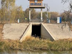 -东郊湿地公园