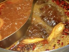 -青瓷火锅料理(西单大悦城店)