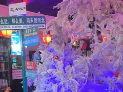 -山河屯铁锅炖鲜鹅·东北菜(开发区一店)