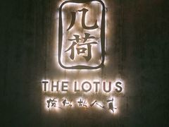 -几荷·恰似故人来(秀水广场店)