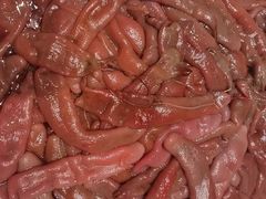 -码头鲜精致威海菜(欧乐坊店)