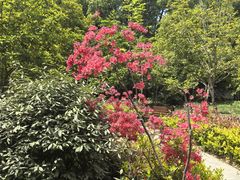 -上海佘山国家森林公园天马山园