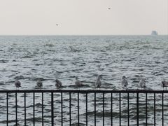 -滇池海埂公园