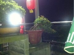 -老幺泉水鸡