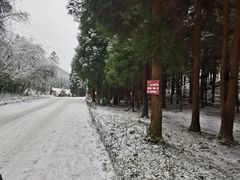 -武陵山森林公园