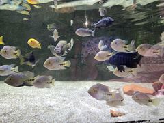 -顺德南宏海立方海洋公园