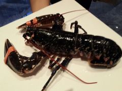 android_upload_pic-圣丰索菲特·法国餐厅