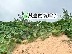 -波浪谷