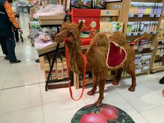 -世纪联华超市(江城店)