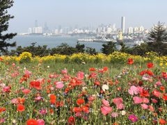 -小麦岛公园