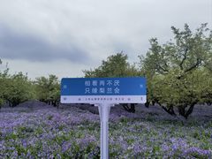 -江苏三台山国家森林公园