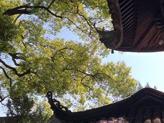 -西园戒幢律寺