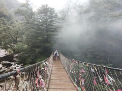 -青峰峡国家森林公园