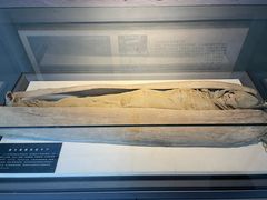 -巴音郭楞蒙古自治州博物馆