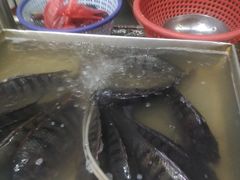 -金鸡岭农贸市场