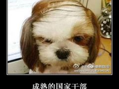 -李老爹香辣蟹(宣武门店)