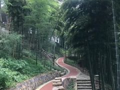 -莫干山风景区