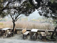 -香雪海