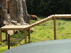 -杭州野生动物世界