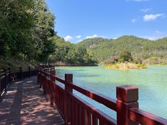 -广州白江湖森林公园