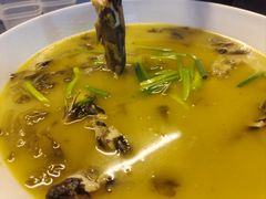 -成都芙蓉饭店蓉国食府·精品川菜·竹山珍·鱼鲜