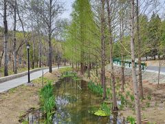 -白水寺森林公园