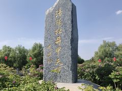 -洛阳市隋唐城遗址植物园