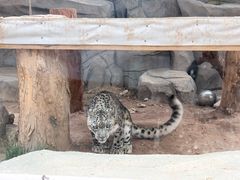 -青藏高原野生动物园