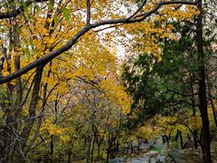 -北京鹫峰国家森林公园