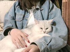 -平行世界·猫咖(首经贸店)